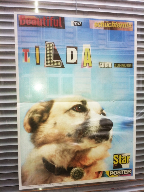 poster poster