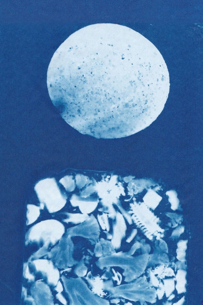 4 4